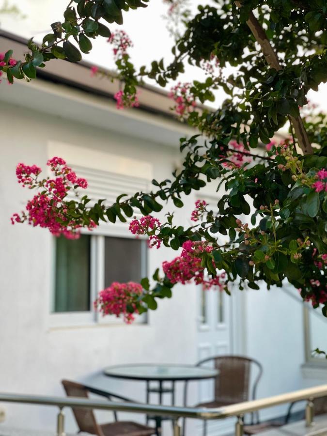 Appartement Robi Ulcinj